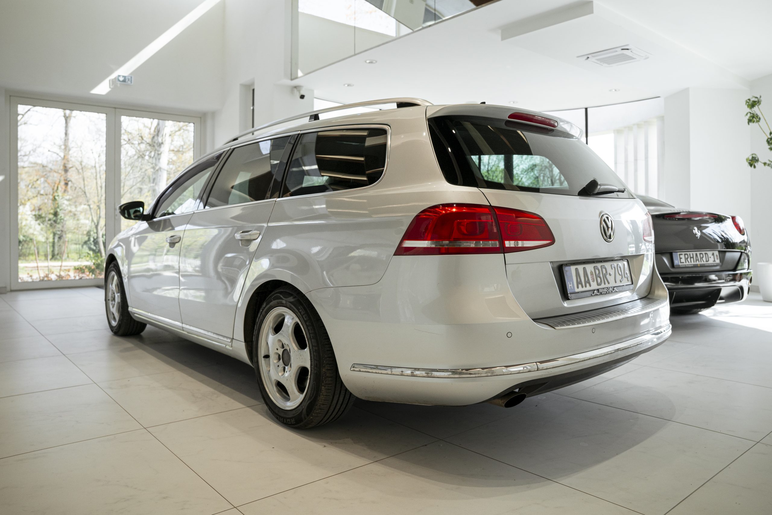 Erhard_Palace_Passat_6